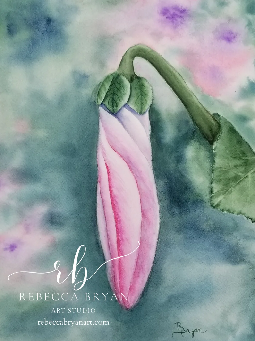 Morning Bloom