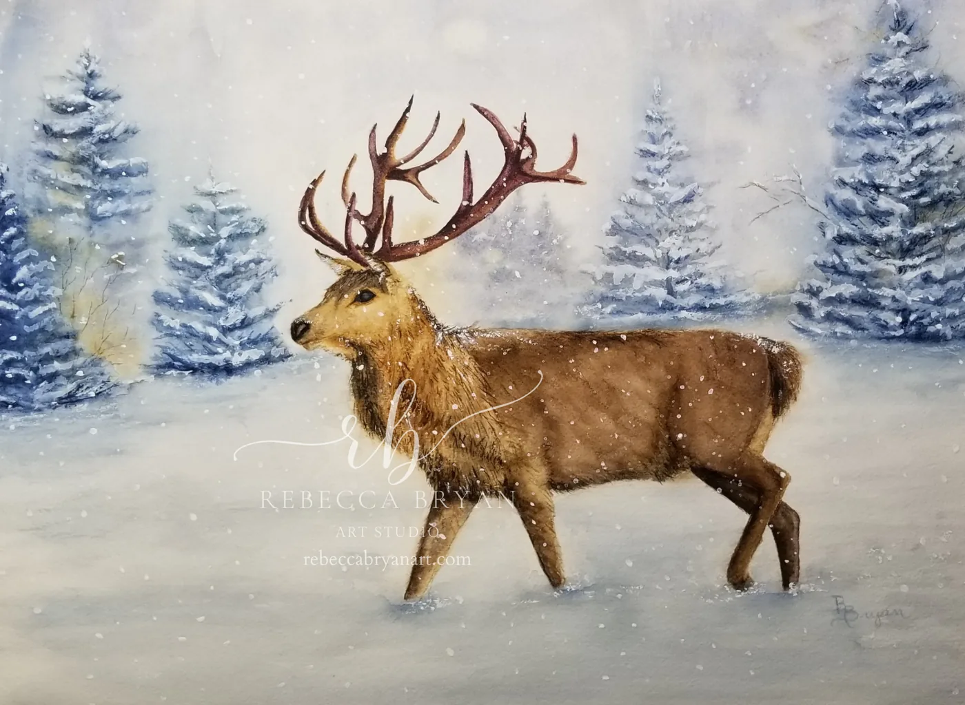 Winter's Walk